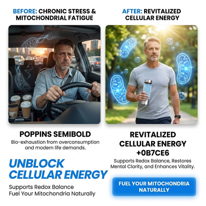 Hydrogen Water Bottle Buy 1 Get 1 Free + Free Gifts